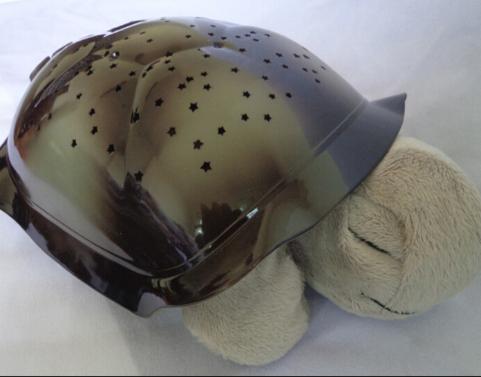 Star Light tortoise-sleep-NJT010