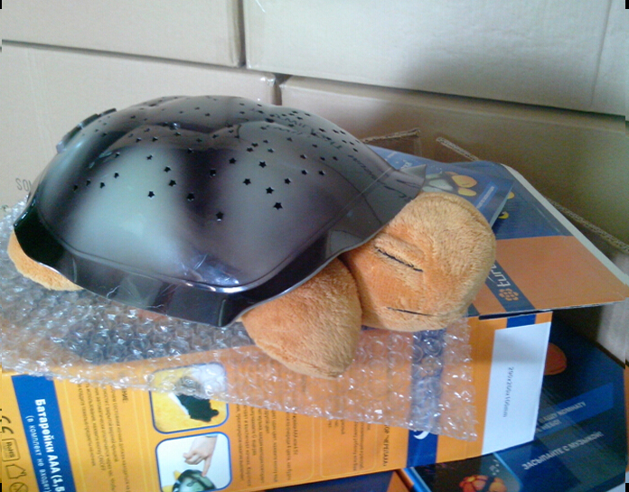  Star Light tortoise----NJT011