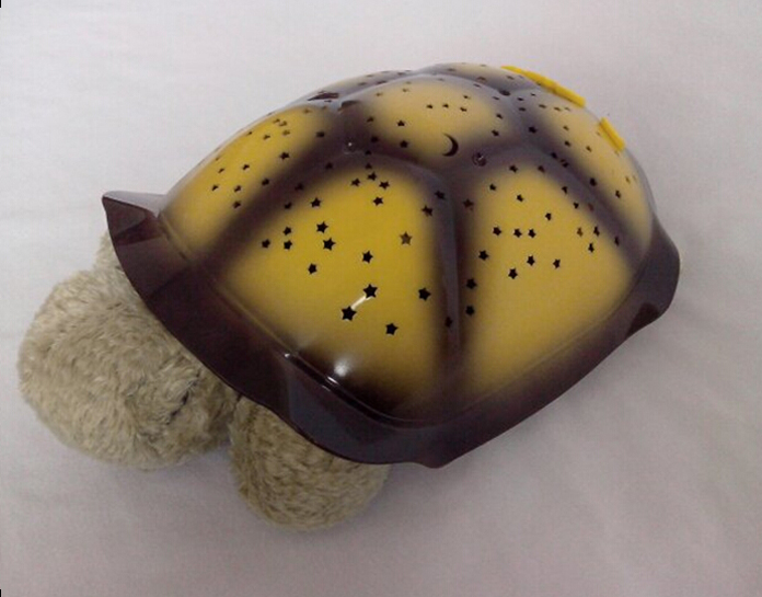 Star Light tortoise-yellow-NJT012