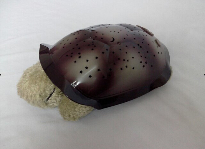Star Light tortoise-----NJT013
