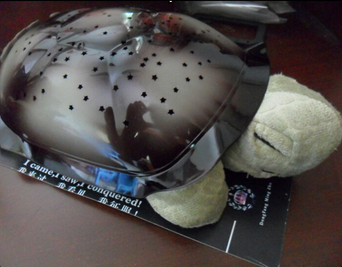 Turtle Star Light-Gray-NJT014