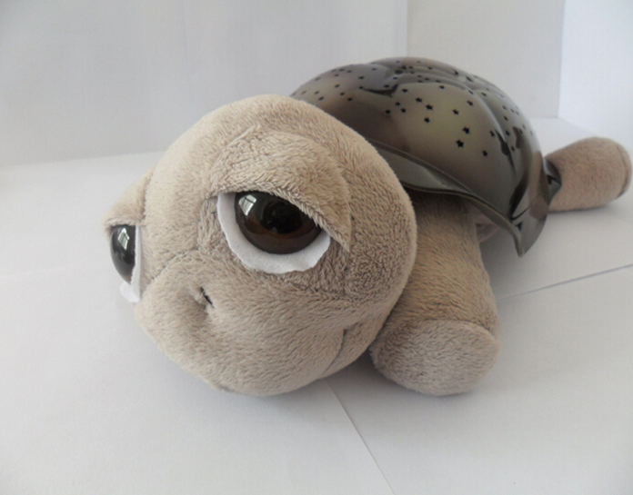  Turtle Star Light big eye gray-NJT015